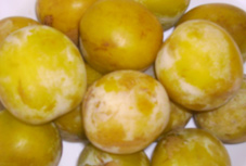 Reine Claude d 'Oullins